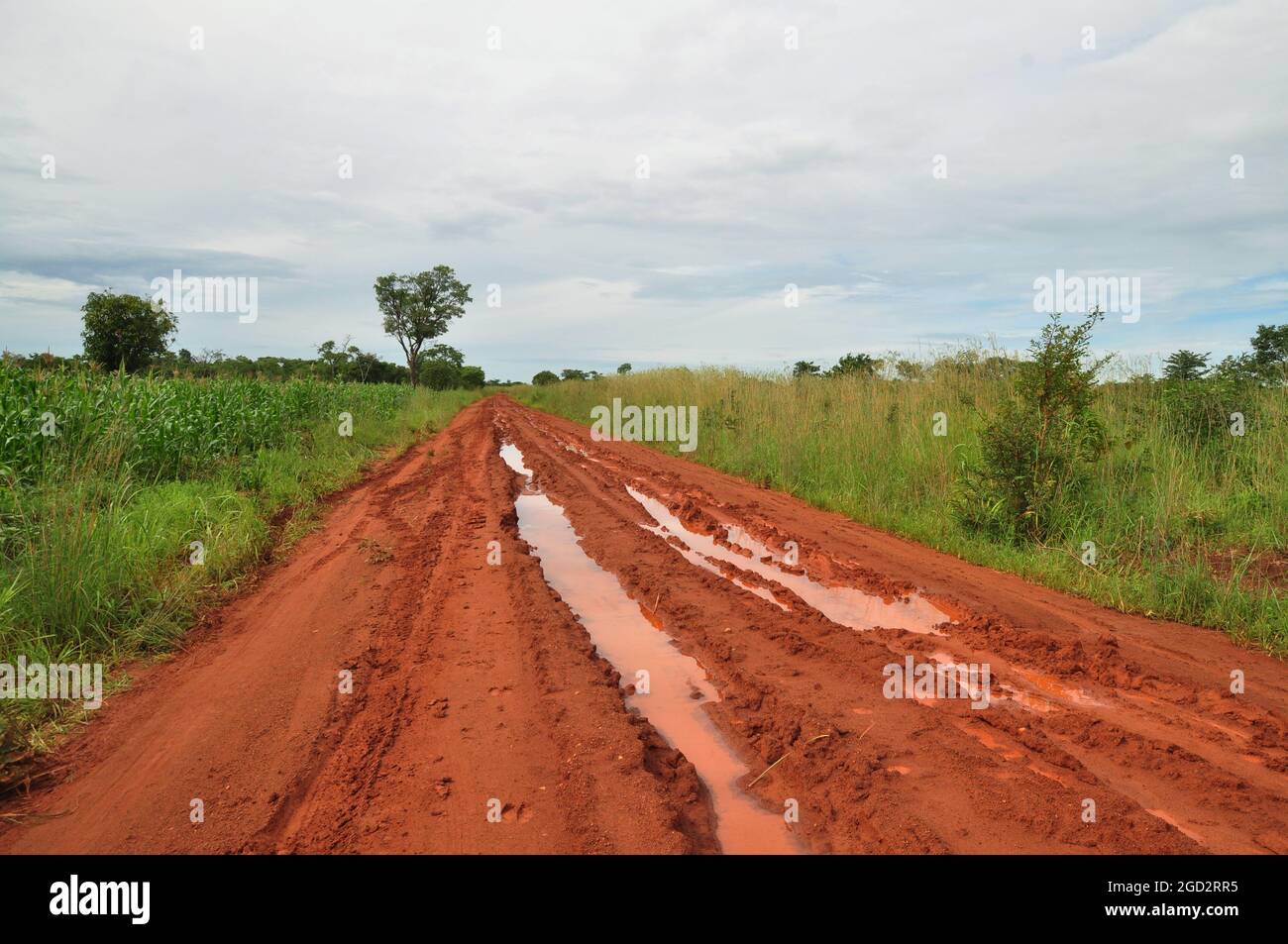 Viaggio a Nkhanga Rural Health Center, Zambia ca. 2 marzo 2017 Foto Stock