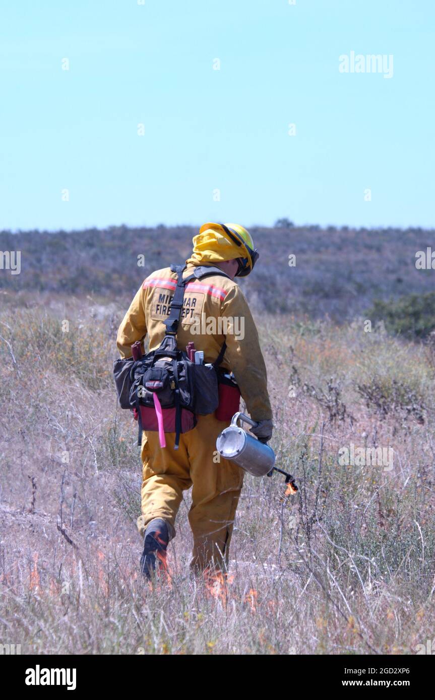 Il pompiere Miramar accende la spazzola durante la combustione controllata utilizzando una torcia a gocciolamento Foto Stock