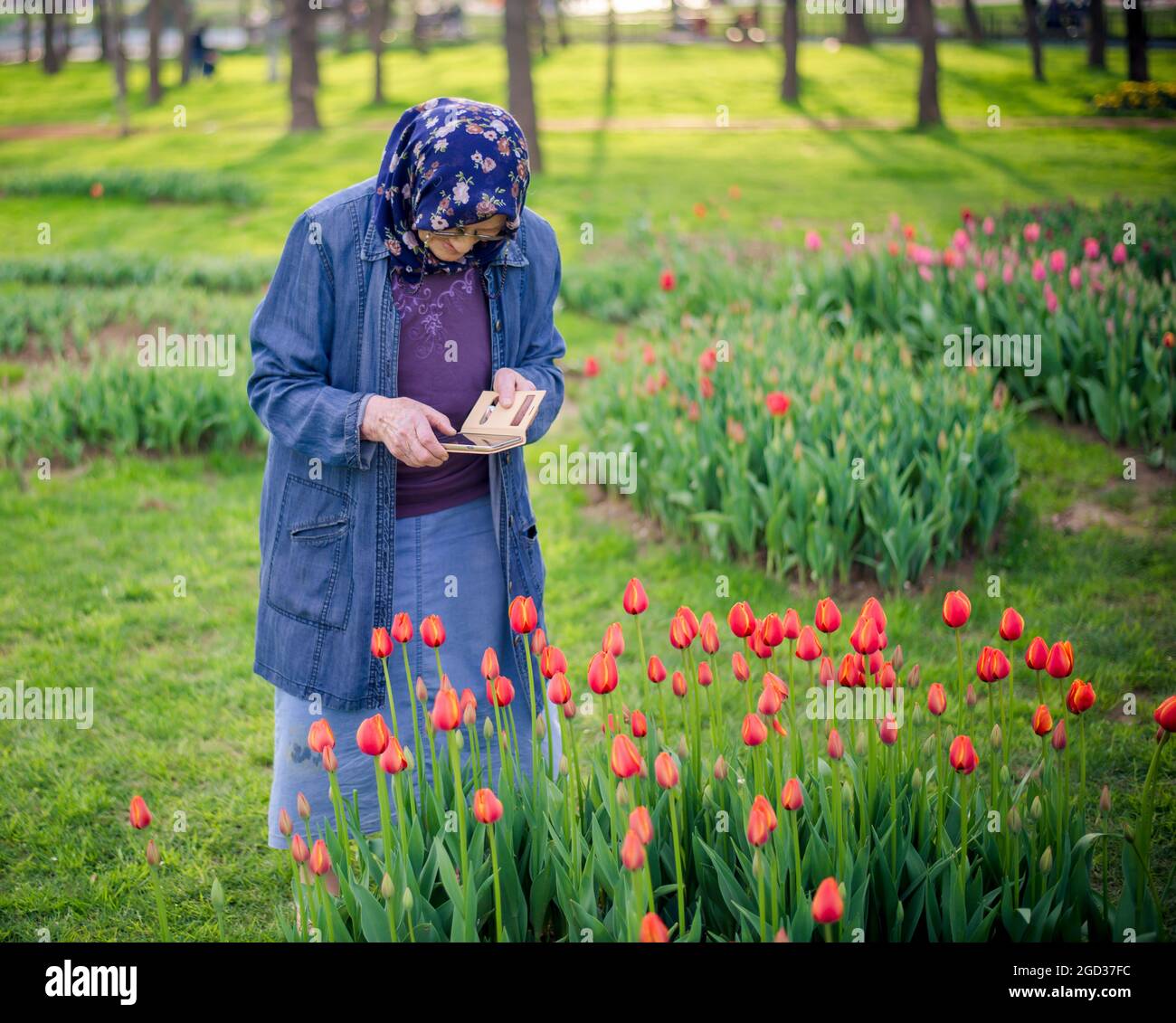Donna musulmana senior che scatta una foto di fiori con il suo smartphone. Vecchia donna che usa il concetto di fotografia mobile. Foto Stock
