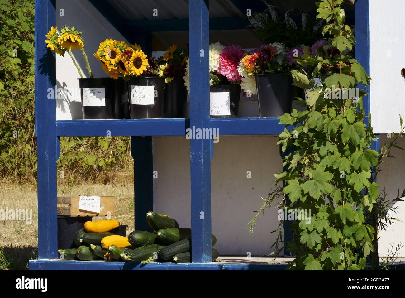 Colonica al lato di una strada di campagna. Foto Stock