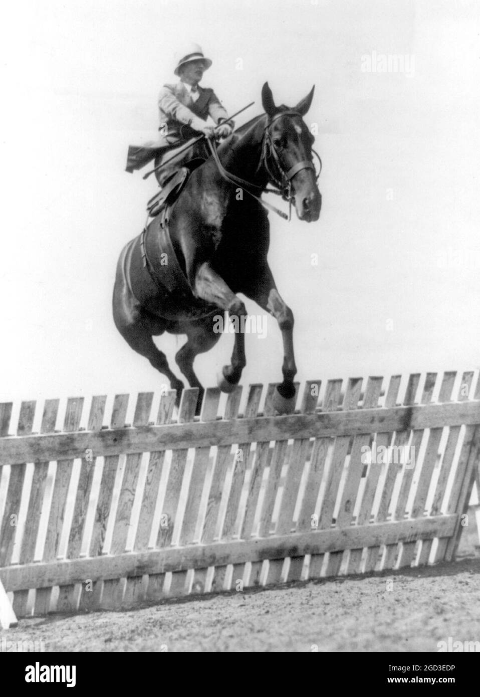 Sig.ra O.C. Coolican prendendo la recinzione su Happy Days, la sua entrata nel National Capital Horse Show, apertura a Washington, 14 maggio ca. 1909 Foto Stock