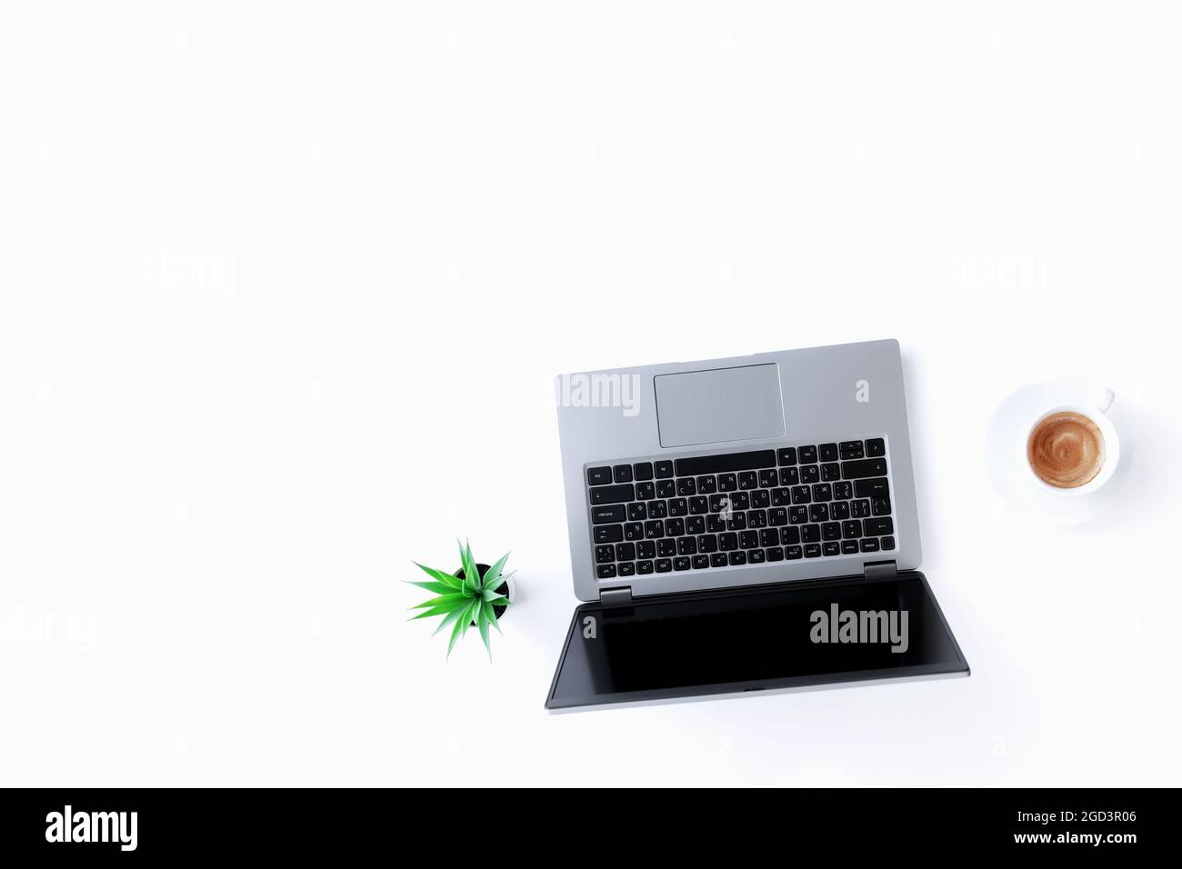 Vista dall'alto su un notebook grigio sottile isolato, una tazza bianca di caffè espresso, una pentola verde con piante di casa su sfondo bianco. Qual alta Foto Stock