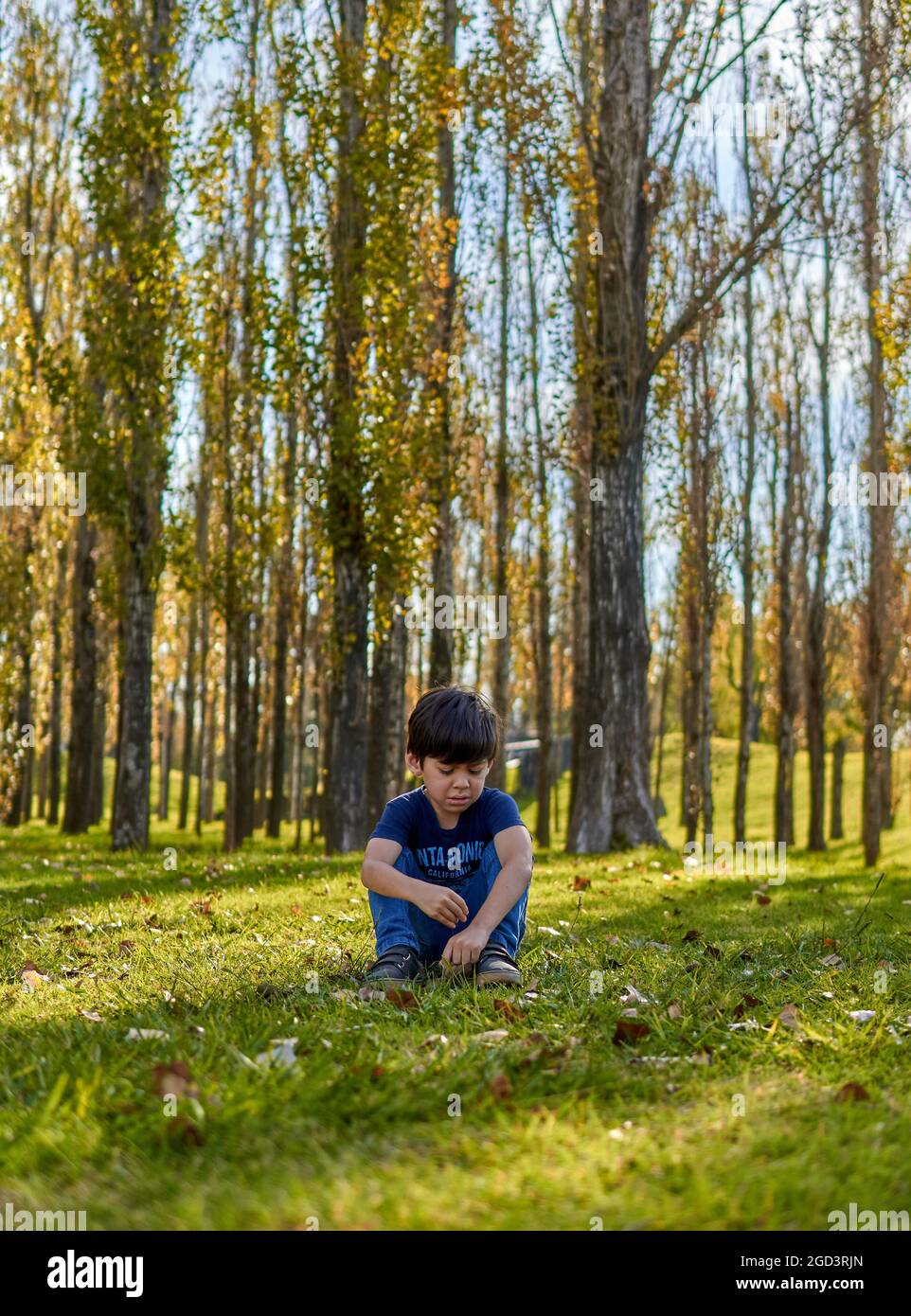 Bambino brunette seduto sull'erba guardando giù su una foresta in un pomeriggio di autunno. Alberi sfondo, sfocato. Verticale Foto Stock