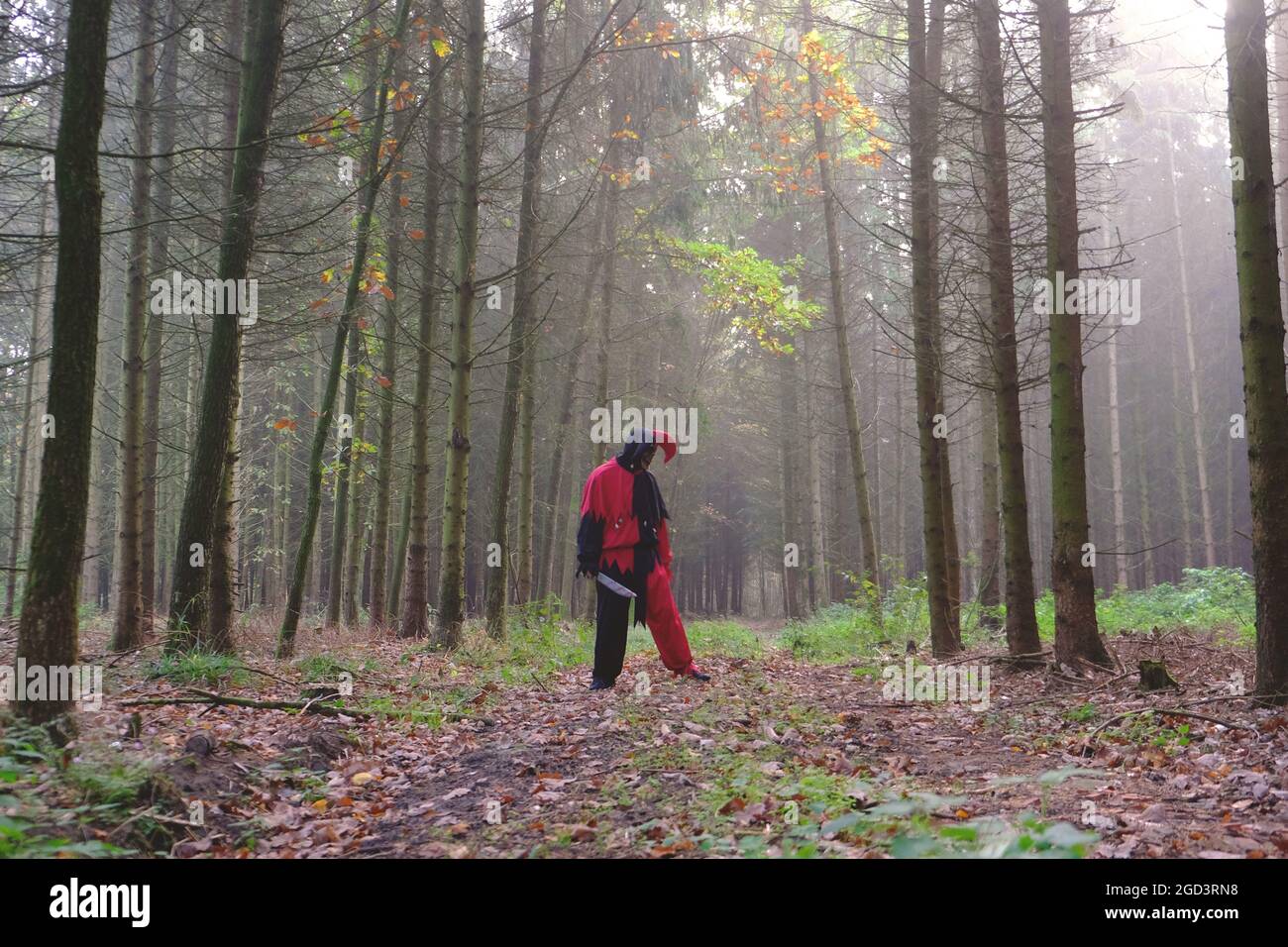 Halloween Holiday.Scary harlequin. Male jester con un coltello in autunno misty Forest.Evil spaventoso costume di jester e cranio mask.Fear e orrore Foto Stock