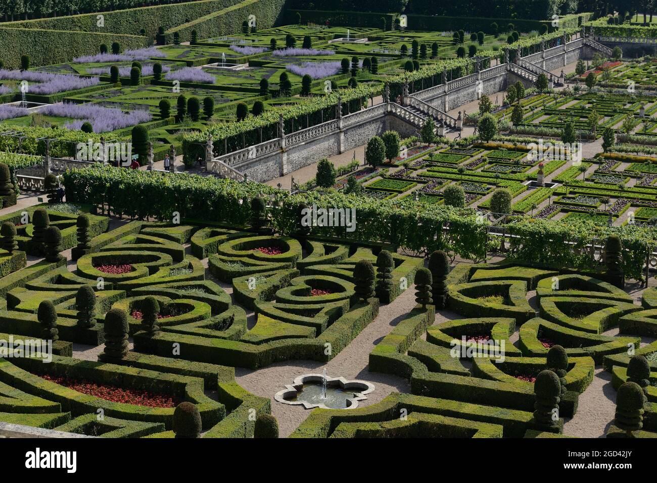 FRANCIA, INDRE ET LOIRE (37) CHATEAU DE VILLANDRY, GIARDINI, IL GIARDINO ORNAMENTALE IN PRIMO PIANO Foto Stock