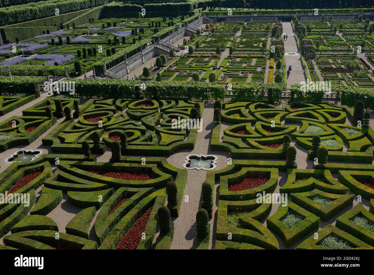 FRANCIA, INDRE ET LOIRE (37) CHATEAU DE VILLANDRY, GIARDINI, IL GIARDINO ORNAMENTALE IN PRIMO PIANO Foto Stock