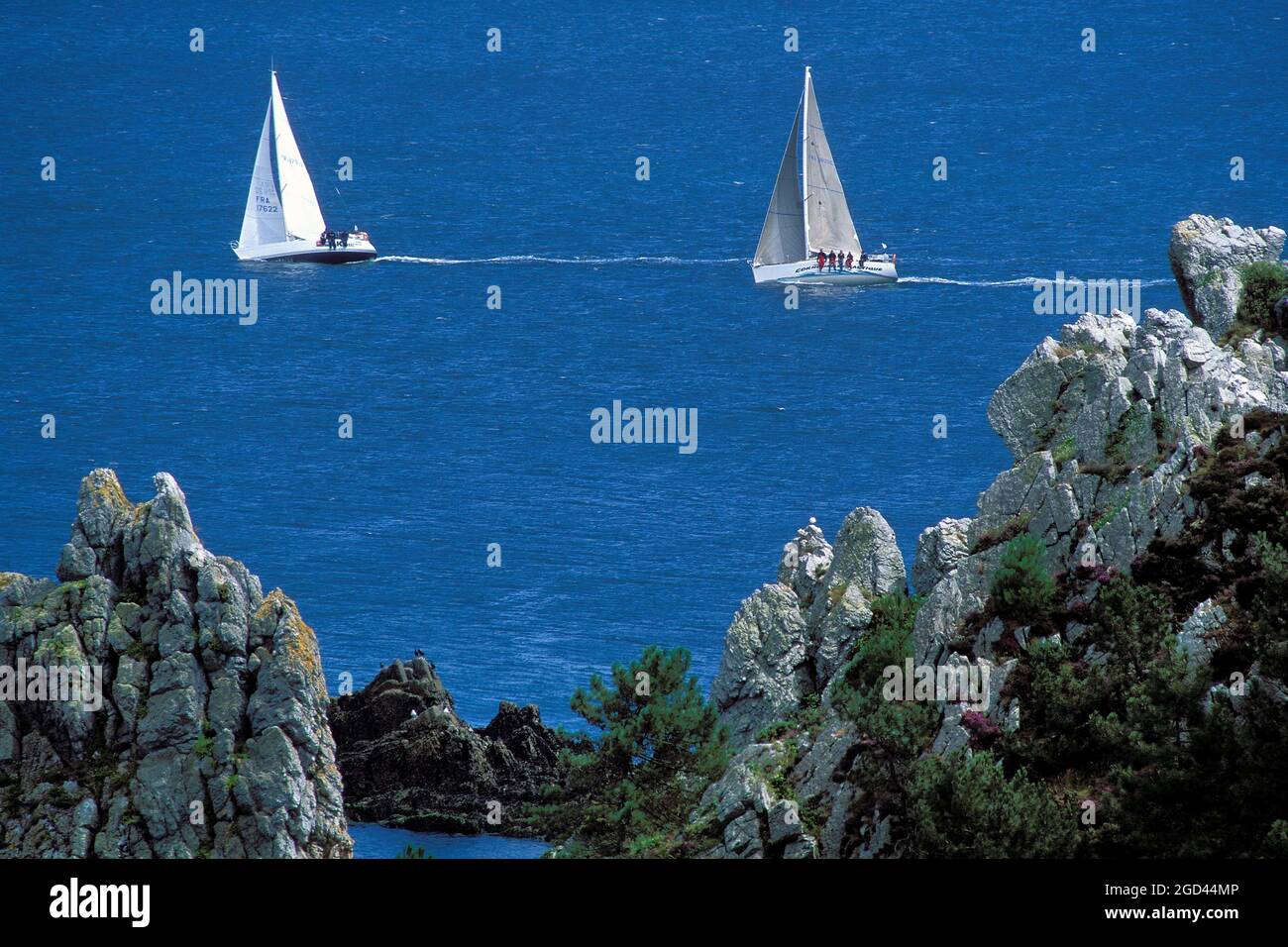 FRANCIA, FINISTERE (29), PENISOLA DI CROZON IN ARMORICA PARCO NATURALE REGIONALE VICINO MORGAT, BAIA DI DOUARNENEZ, PASSAGGIO DI UNA REGATA, BRETAGNA. Foto Stock