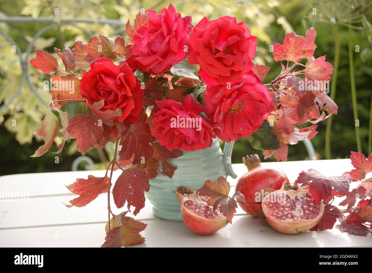 Botany, rose rosse in una caraffa con foglie di viburno e melograni di colore autunnale su un tavolo all'aperto., ACCESSIONAL-RIGHTS-CLEARANCE-INFO-NOT-AVAILABLE Foto Stock