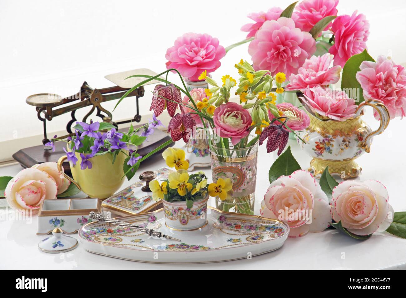 Botany, fritillaria, camelia, primula veris, ADDITIONAL-RIGHTS-CLEIDAGE-INFO-NOT-AVAILABLE Foto Stock