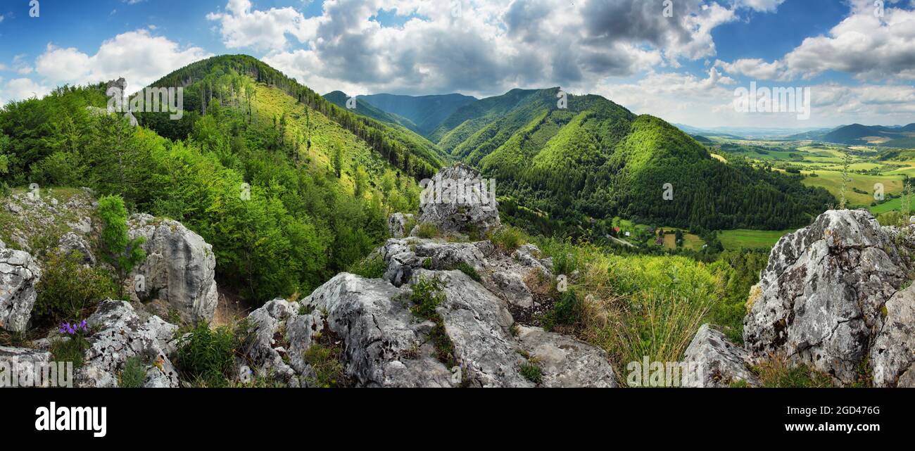Panorama montano con foresta verde Foto Stock