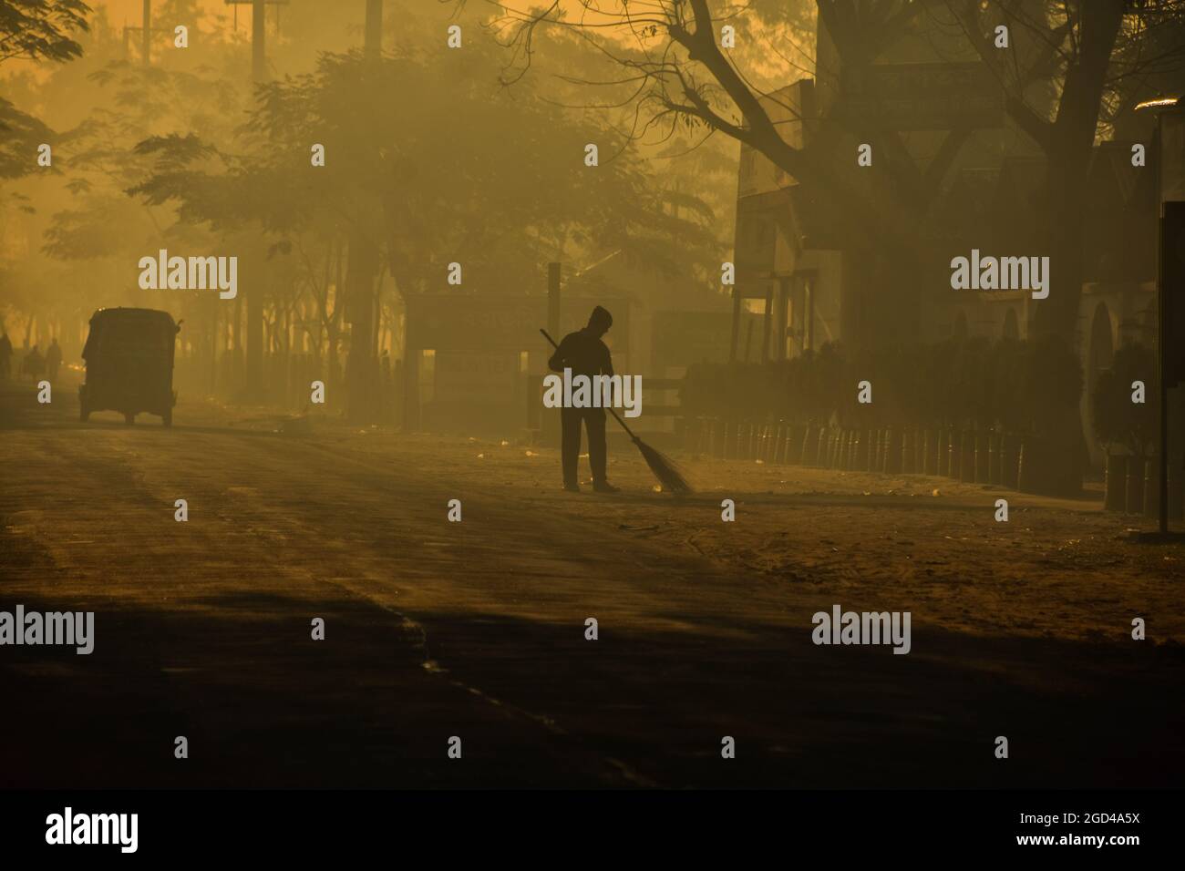 Mist di mattina presto in natura con gli alberi Foto Stock