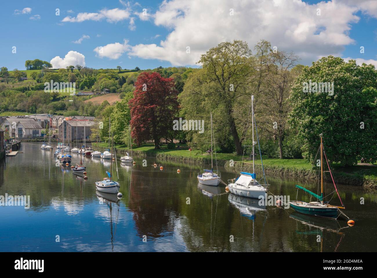 River Dart Devon, vista in estate delle barche per il tempo libero ormeggiate nel fiume Dart a Totnes, Devon, Inghilterra, Regno Unito Foto Stock