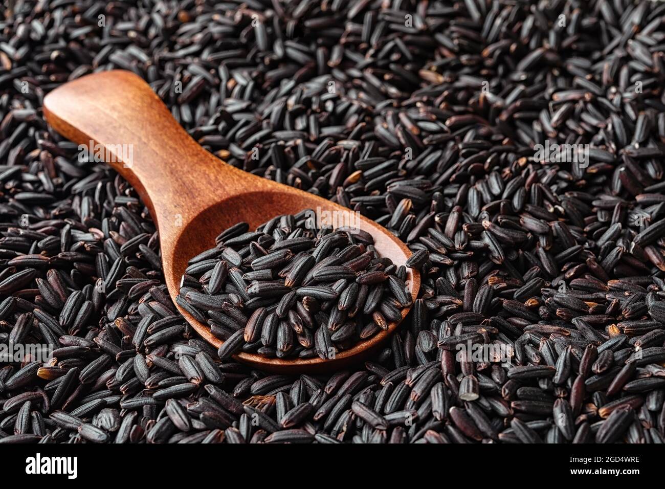 Cucchiaio di legno marrone pieno di riso nero crudo su grani di riso scuro non cotti. Ingrediente della cucina asiatica per un'alimentazione sana e una dieta vegetariana. Foto Stock