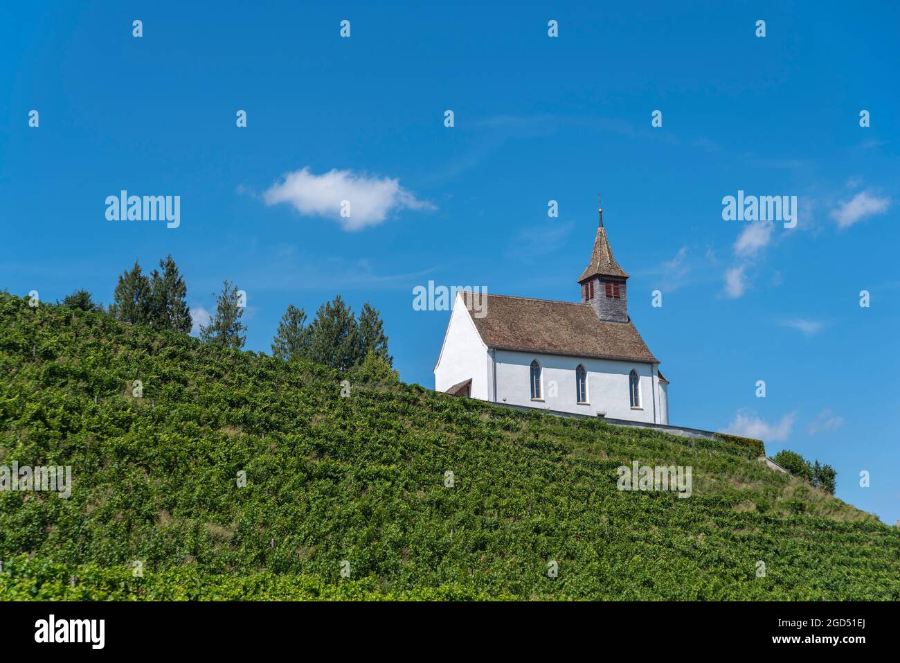 Geografia / viaggio, Svizzera, Zurigo, Rheinau, vigneto con chiesa di montagna Saint Nikolaus, DIRITTI-AGGIUNTIVI-AUTORIZZAZIONE-INFO-NON-DISPONIBILE Foto Stock