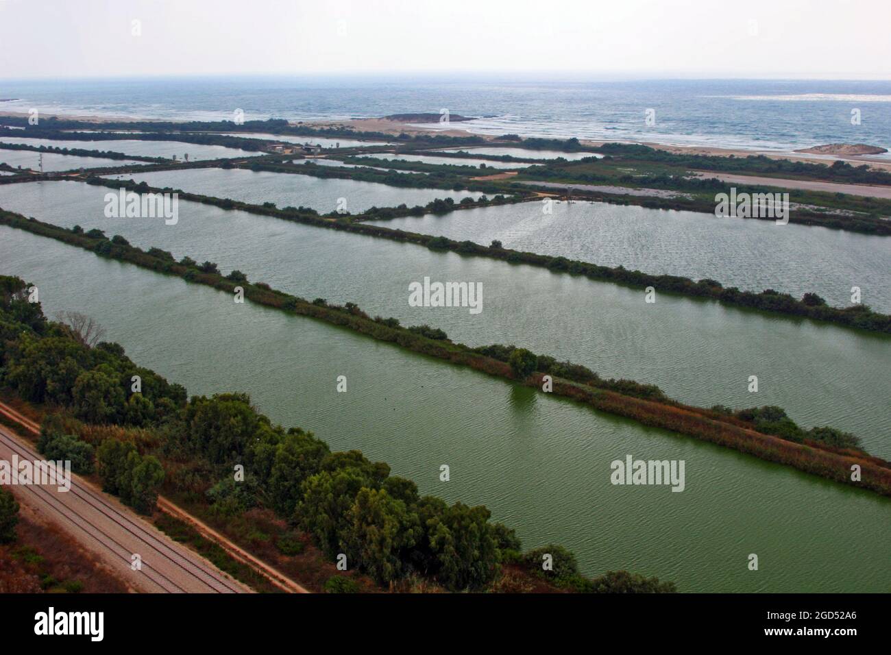 Stagni di pesce agricolo sulle pianure costiere, Israele Foto Stock