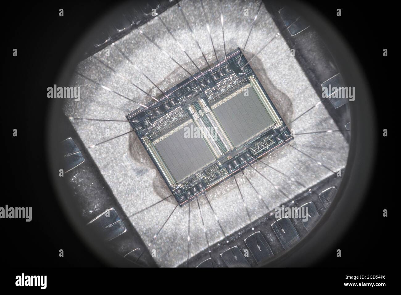 Microfotografia del cablaggio interno e dello stampo della eprom UV TMS 2532A-45JL di Texas Instruments. Considerato attraverso un obiettivo gemmologico 2x. VEDERE LE NOTE Foto Stock