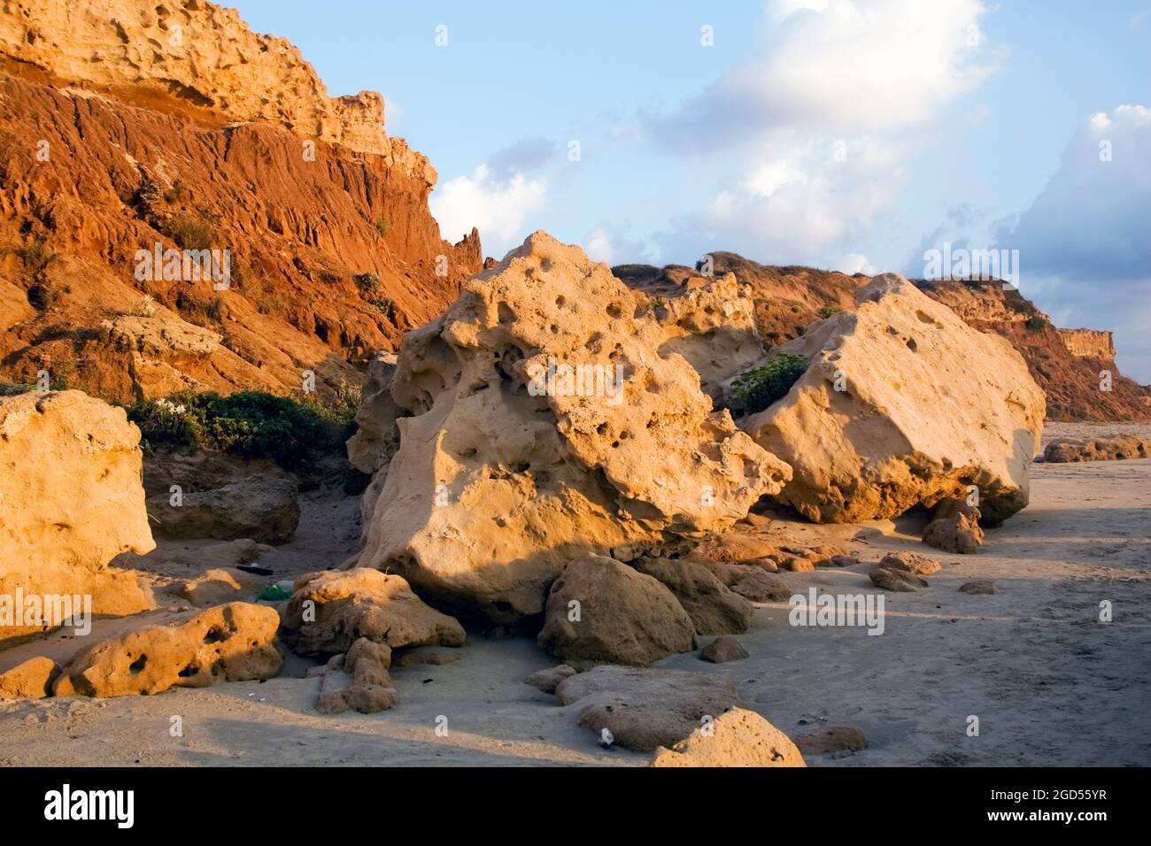 Kurkar scogliera sulla riva del Mediterraneo, pianure costiere, Israele Kurkar è il nome regionale per una arenaria di quarzo eolie con cemento carbonato, in Foto Stock