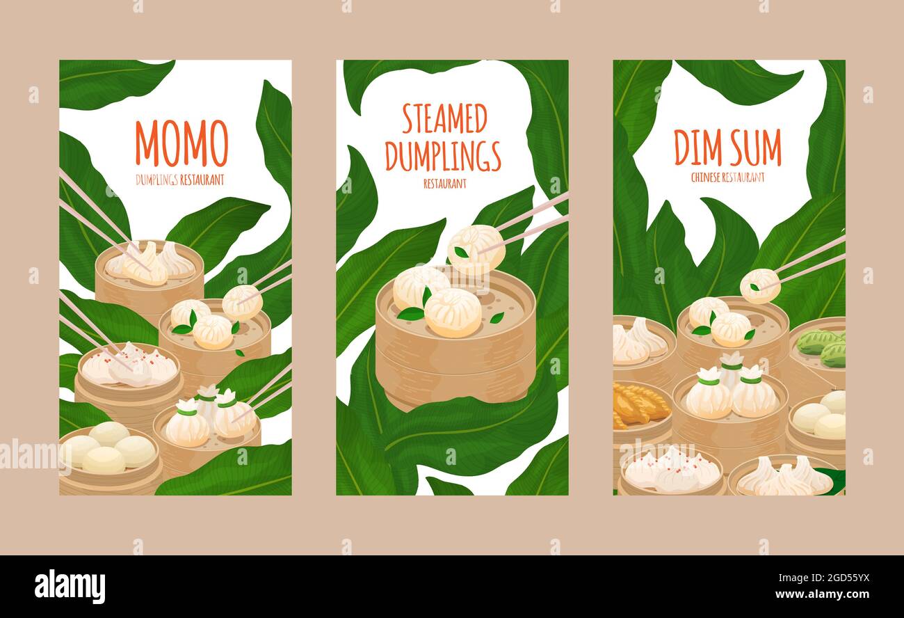 Gnocchi momo e dim sum al vapore. Modello di volantino, poster, menu card coperchio ristorante con diversi gnocchi, focaccine al vapore. Momo e dimsum in s. Illustrazione Vettoriale