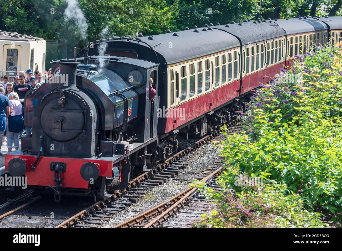 0-6-0 motore serbatoio chiamato Pribess presso la stazione Lakeside sulla Lakeside e Haverthwaite Heritage Railway. La principessa era il prototipo di una piccola classe di Foto Stock