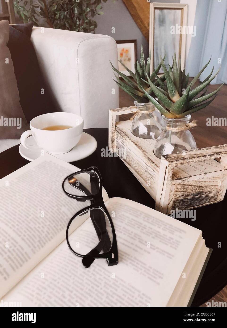 Occhiali su libro aperto sdraiati su un tavolino da caffè rotondo decorato con piante di aloe su supporto in legno accanto a una tazza di tè sul piatto, interno del soggiorno sul retro Foto Stock