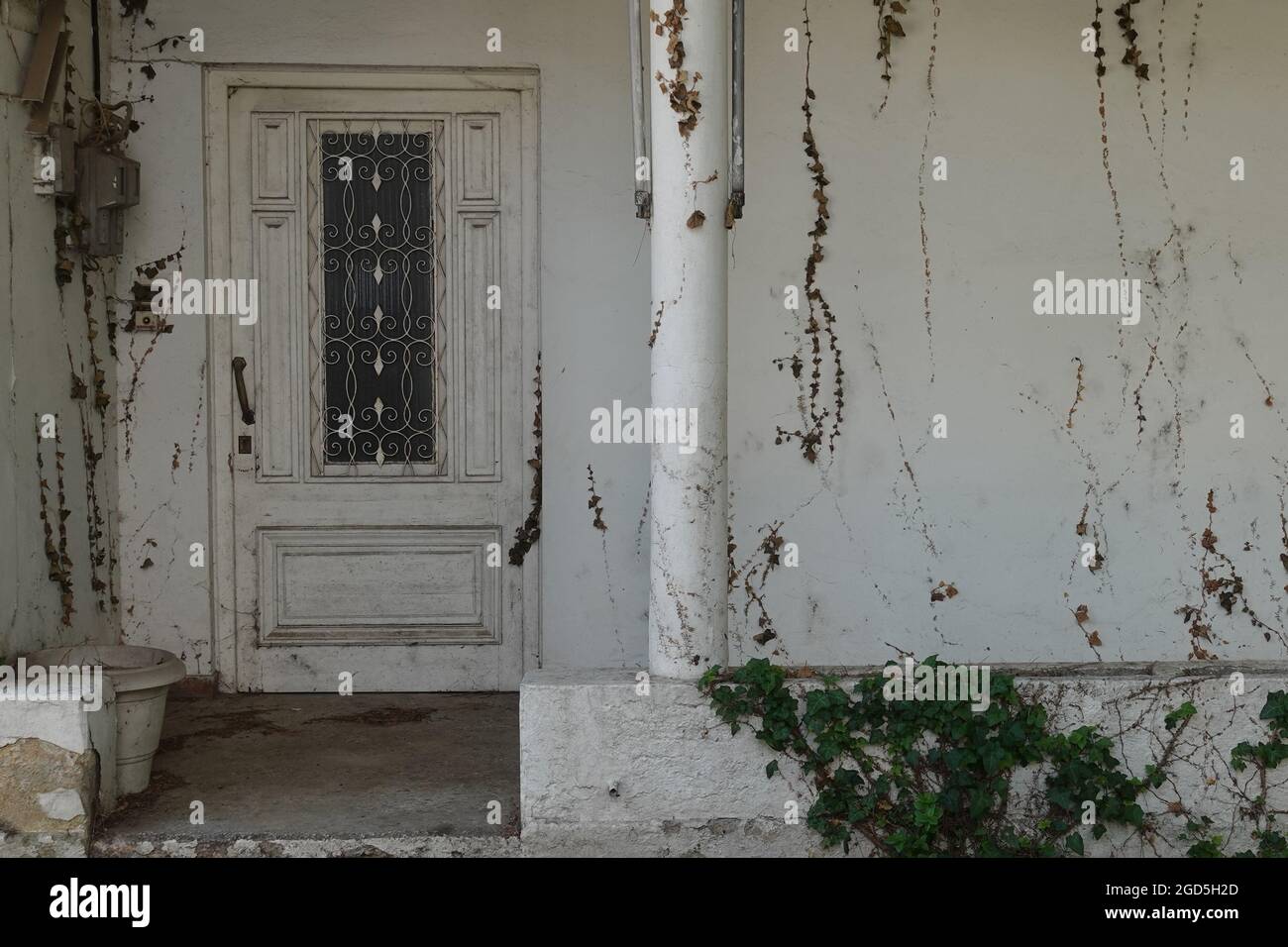 Vecchio abbandonato portico casa vintage porta e muro sporco con appassito arrampicata pianta di vite. Foto Stock