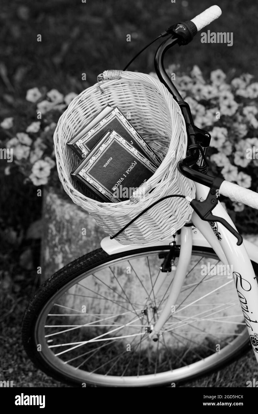 Bicicletta con libro in cestino di Leo Tolstoy Guerra e Pace. Estate lettura hobby Foto Stock