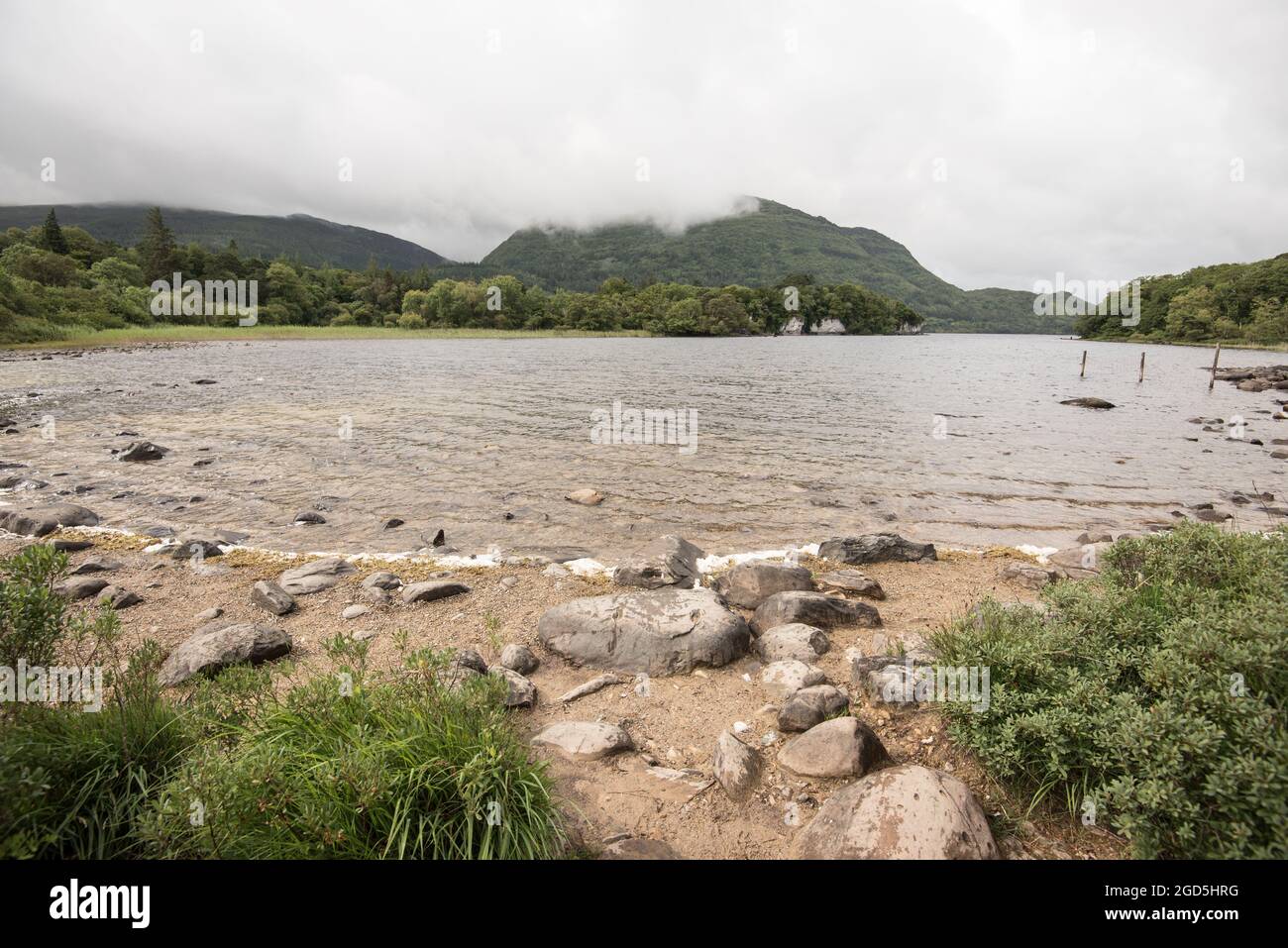 Muckross Lake, Muckross House, Killarney, Kerr, Irlanda Foto Stock