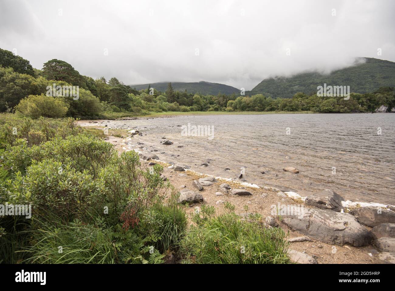 Muckross Lake, Muckross House, Killarney, Kerr, Irlanda Foto Stock