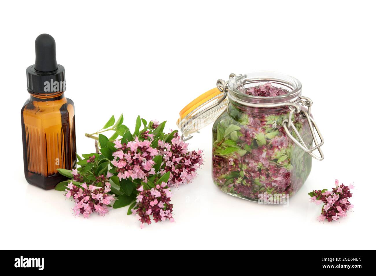 Foglie di fiori di erbe di origano impregnate di olio con bottiglia d'olio essenziale. Medicina naturale della pianta di erbe. Può alleviare i sintomi di IBS & è antibatterico. Foto Stock