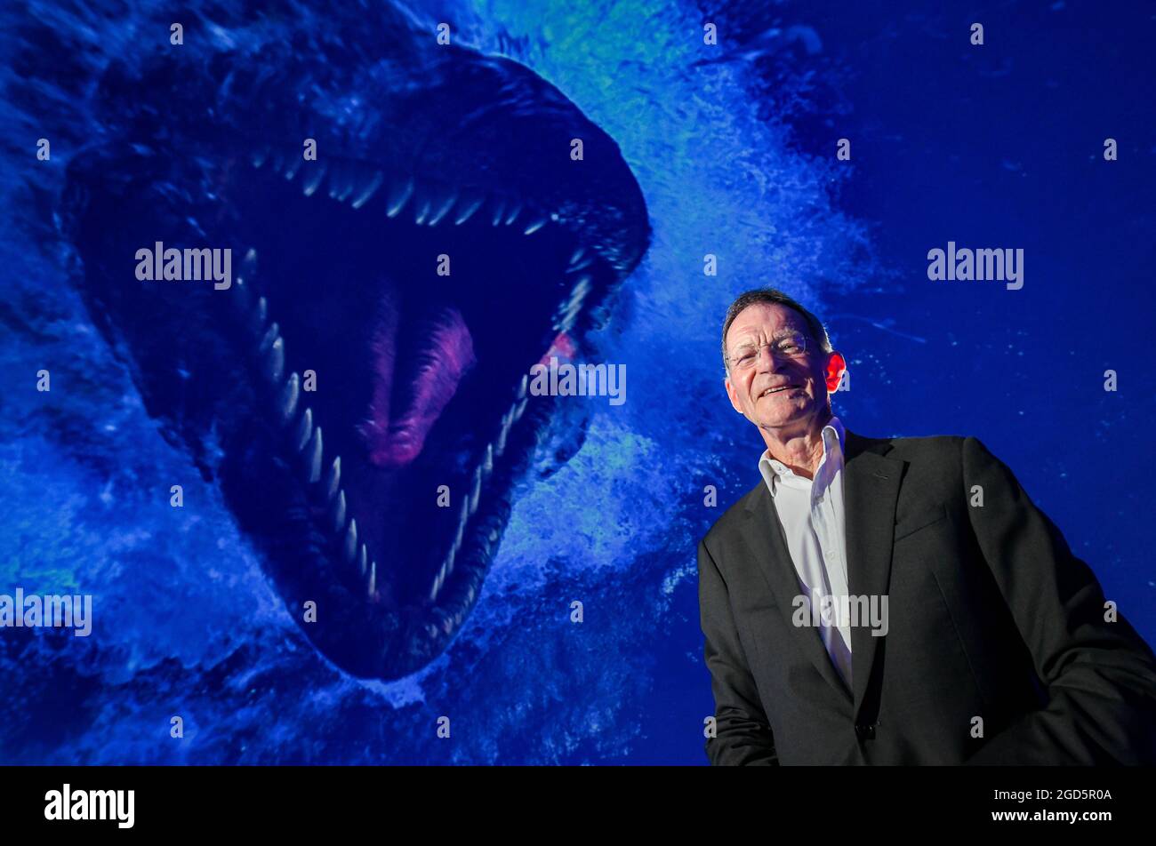 Foto di Paul Slater - Sir Nicholas Serota, Presidente del Consiglio delle Arti d'Inghilterra, Foto Stock