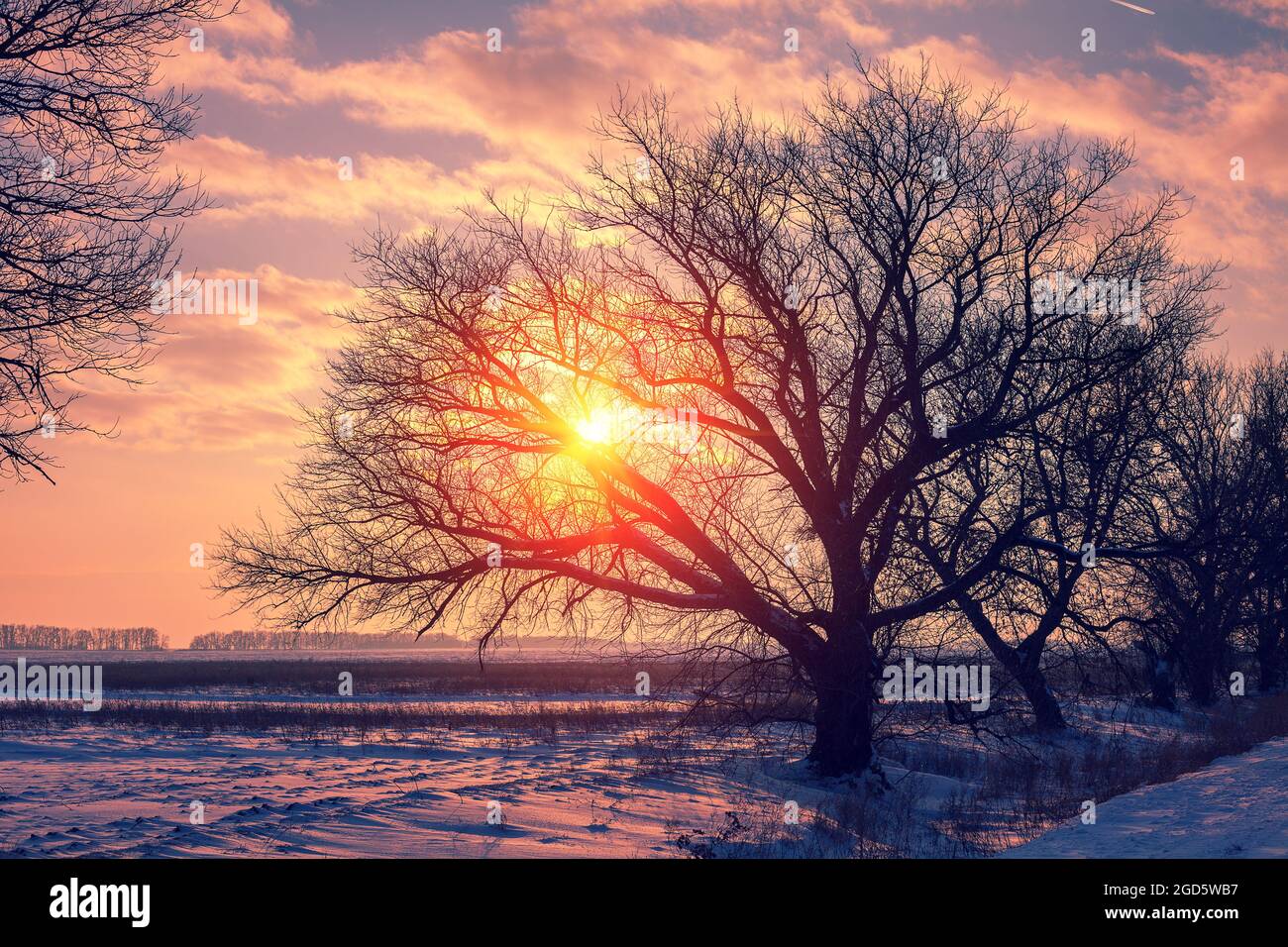 In inverno il paesaggio rurale al tramonto Foto Stock