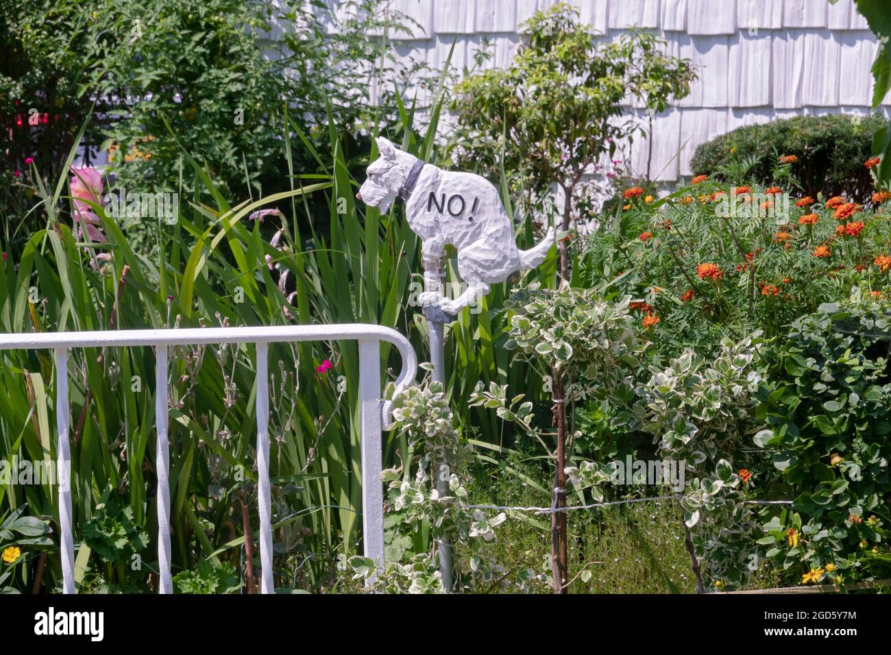 Un intelligente cartello 'cani fuori dal prato' su una strada laterale a Flushing, Queens, New York City. Foto Stock