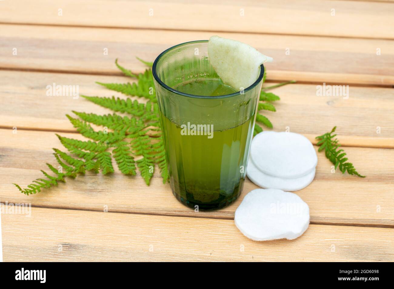 Decozione delle foglie di Wood Fern per applicazioni di cicatrizzazione delle ferite e problemi della pelle. Foto Stock