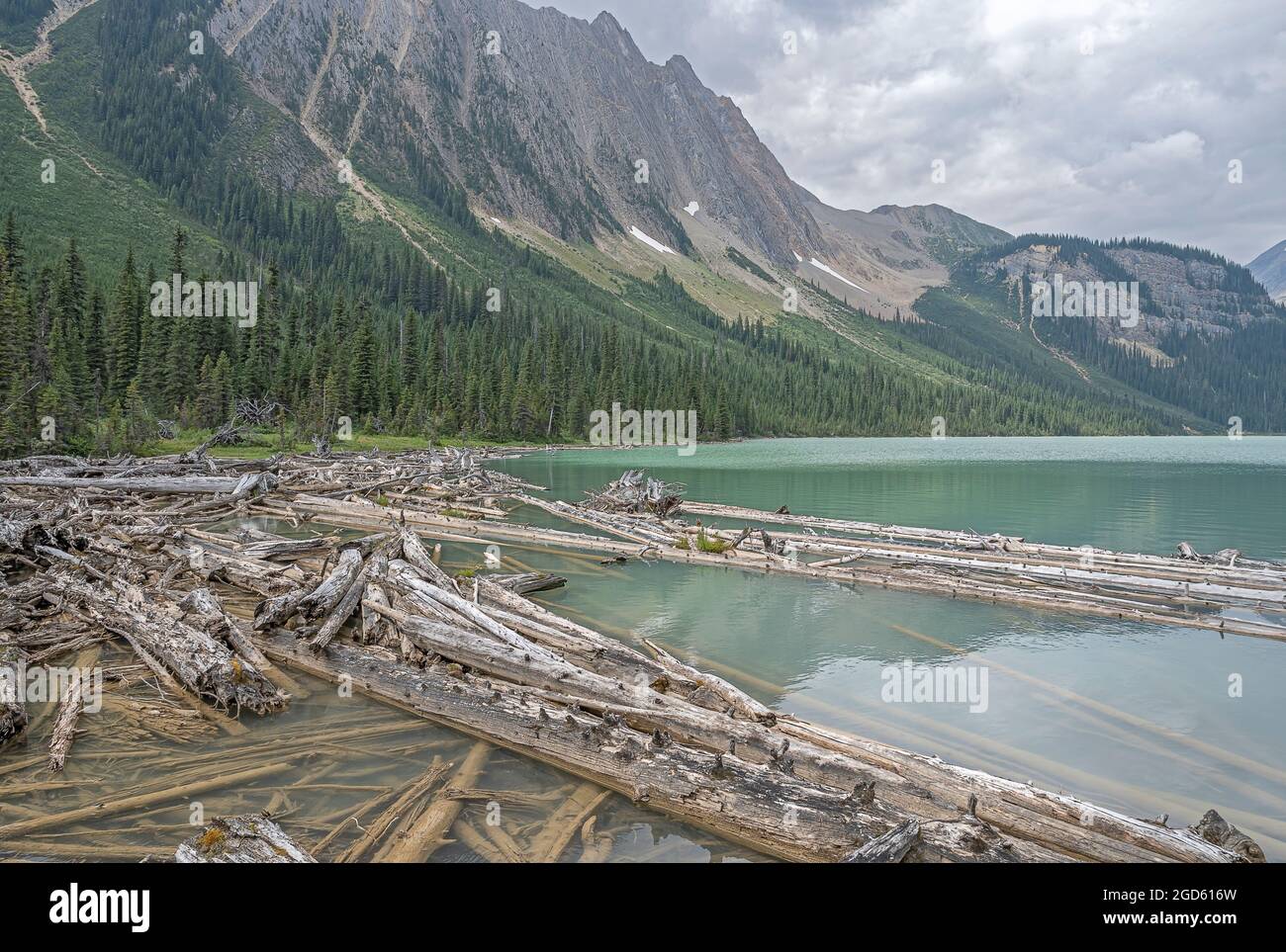Marmellata di tronchi al lago Sherbrooke nel Parco Nazionale di Yoho, British Columbia, Canada Foto Stock