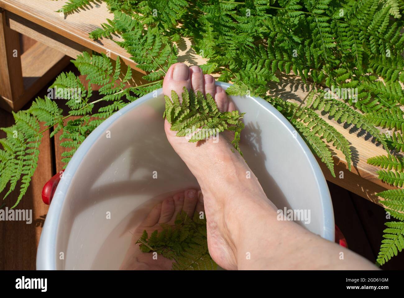 Bagno di guarigione del piede con estratto di foglie di felce. Foto Stock