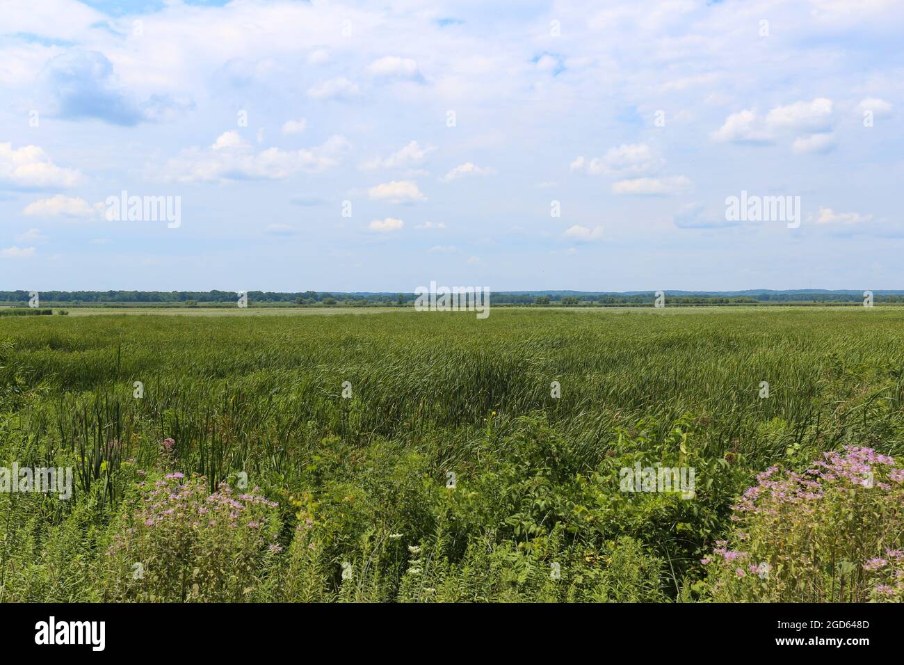Un paesaggio che mostra la bellezza naturale dell'Illinois, Stati Uniti. Foto Stock