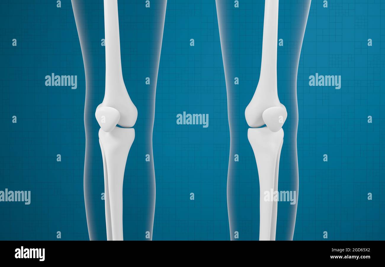 Ossa e ginocchia delle gambe, rendering 3d. Disegno digitale per computer. Foto Stock