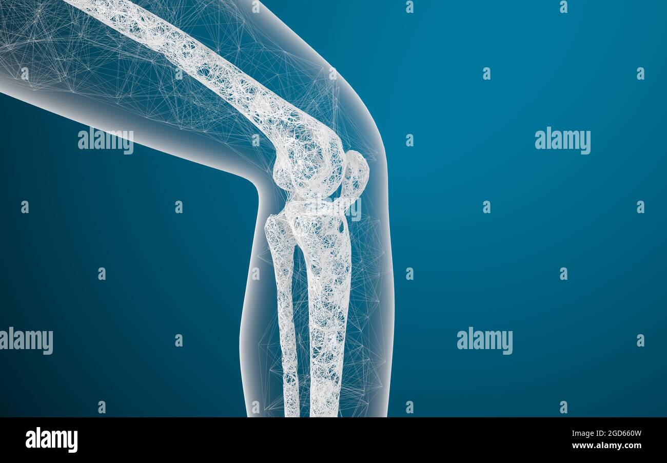 Ossa e ginocchia delle gambe, rendering 3d. Disegno digitale per computer. Foto Stock