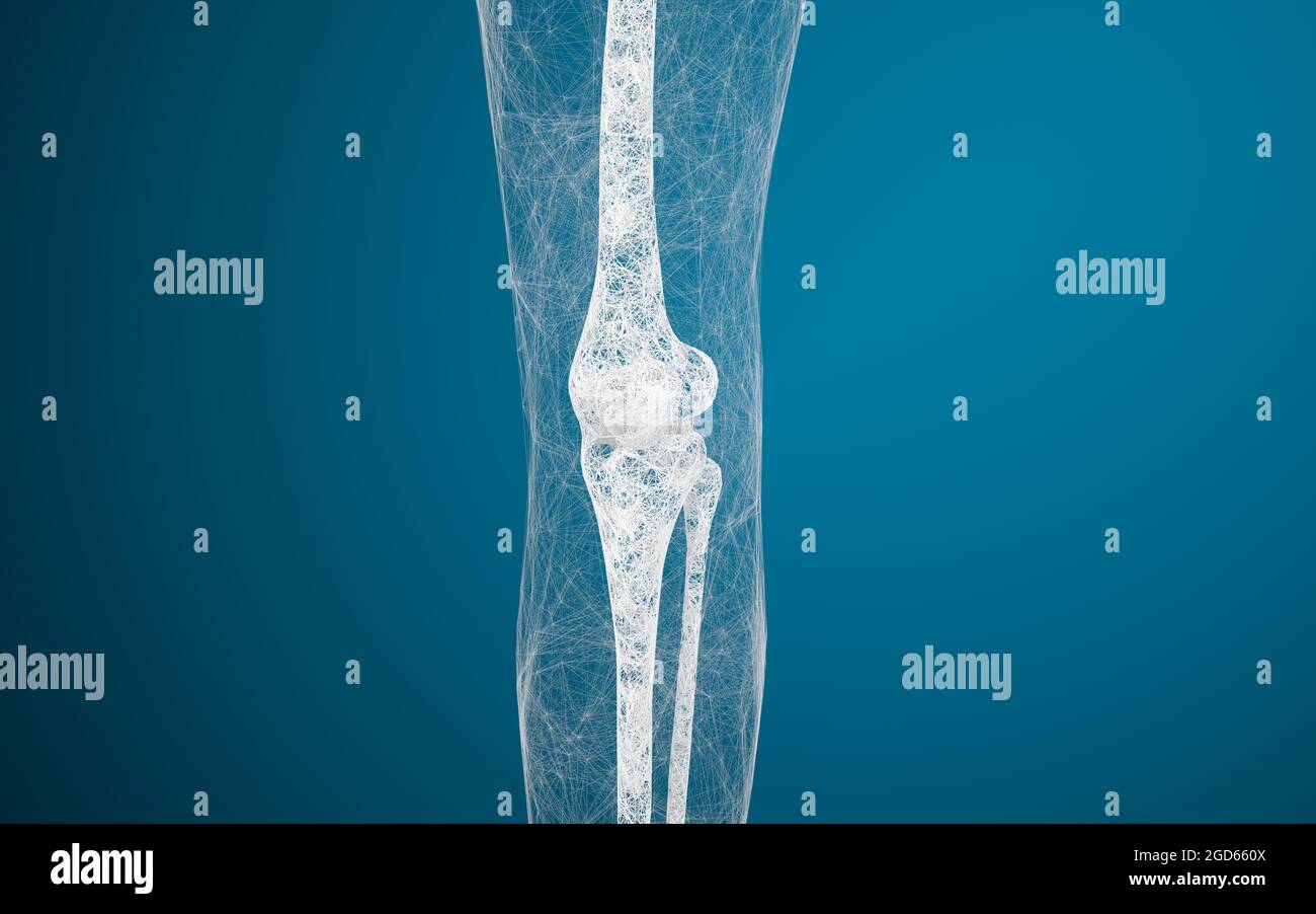Ossa e ginocchia delle gambe, rendering 3d. Disegno digitale per computer. Foto Stock