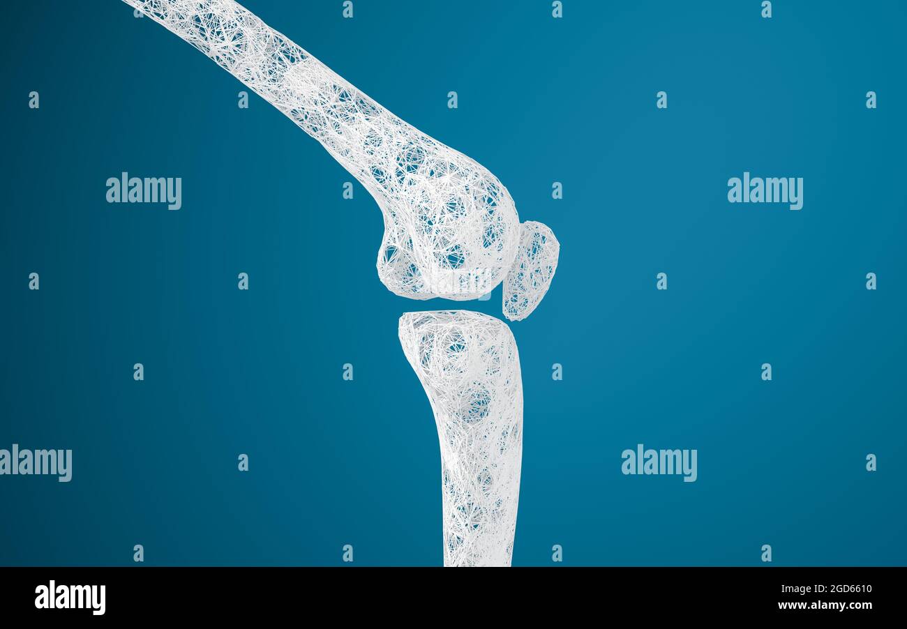 Ossa e ginocchia delle gambe, rendering 3d. Disegno digitale per computer. Foto Stock