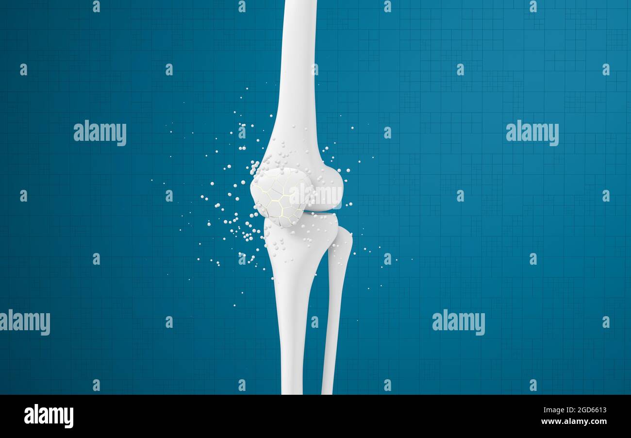 Ossa e ginocchia delle gambe, rendering 3d. Disegno digitale per computer. Foto Stock