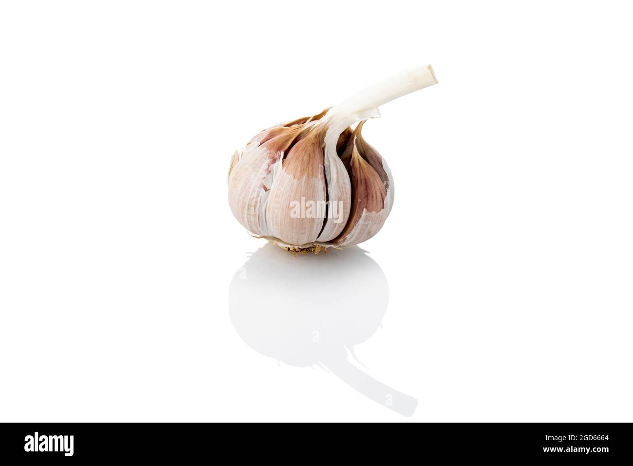 Aglio, bulbo d'aglio. Aglio su sfondo bianco Foto Stock