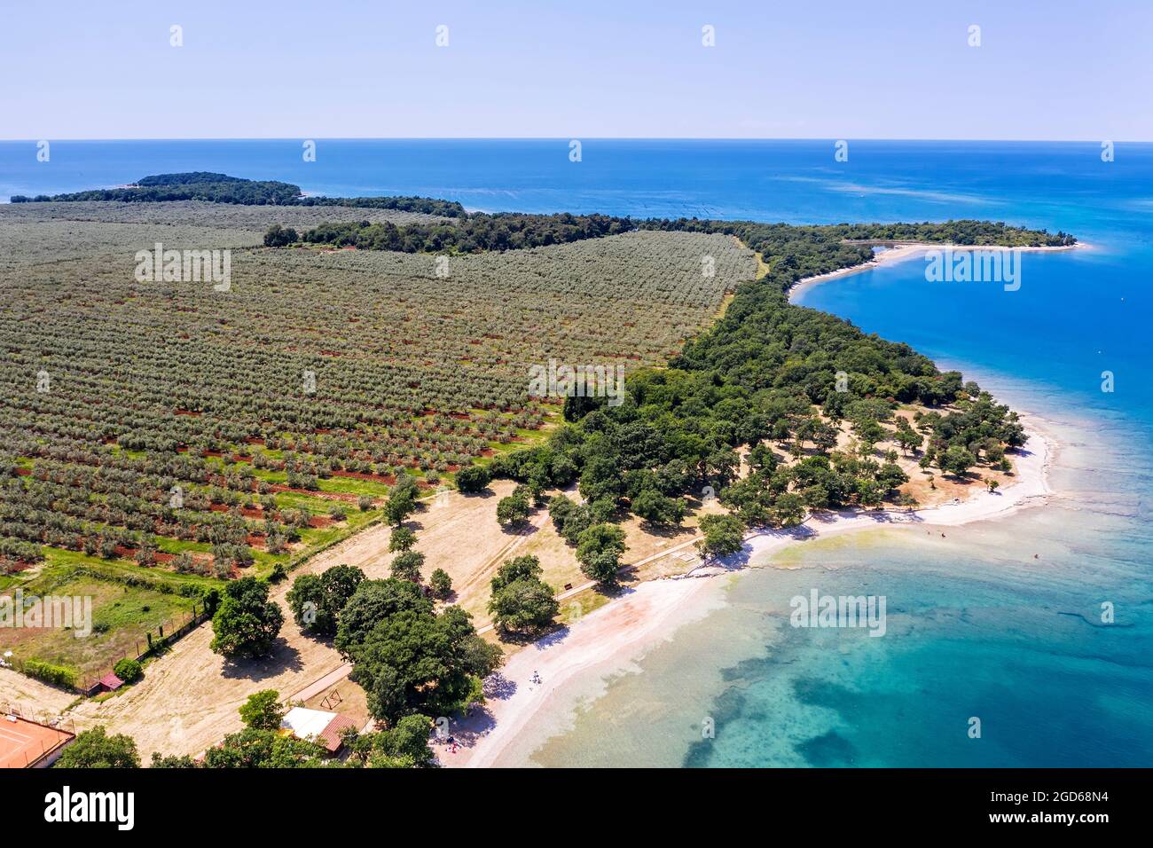 Una vista aerea incredibile delle spiagge e del campo di ulivi a Cervar Porat, Istria, Croazia Foto Stock