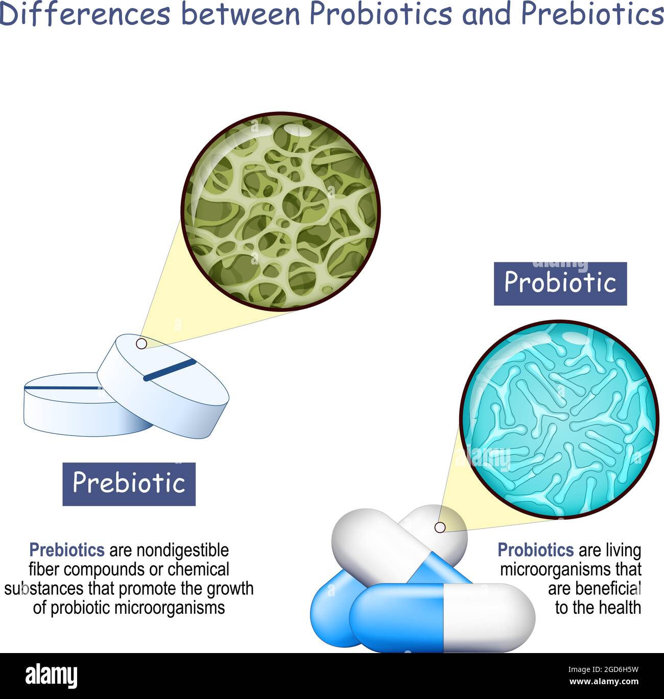 Prebiotici e probiotici. Differenza principale e confronto. Primo piano di batteri Lactobacillus in capsula e ingrandimento di fibra dietetica Illustrazione Vettoriale