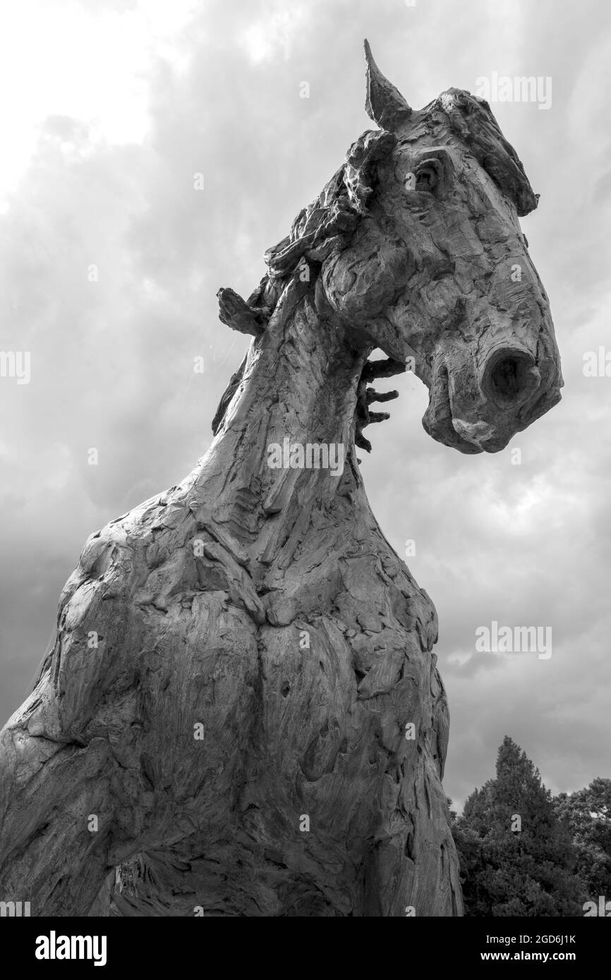 Stallion andaluso di Hamish Mackie in mostra presso i Blenheim Palace Gardens, Woodstock, Oxfordshire, Inghilterra, Regno Unito Foto Stock