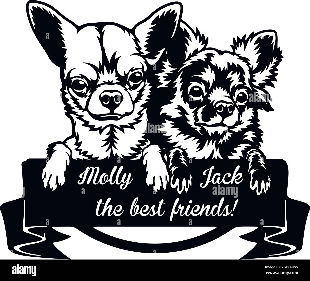 Chihuahua, amici - cani da Pechino - razza testa faccia isolata su bianco - stock vettoriale Illustrazione Vettoriale