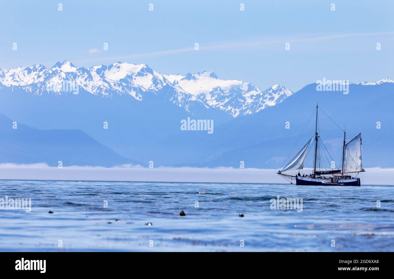 Vista delle montagne del Parco Nazionale Olimpico e barca a vela da Victoria, BC, Canada Foto Stock