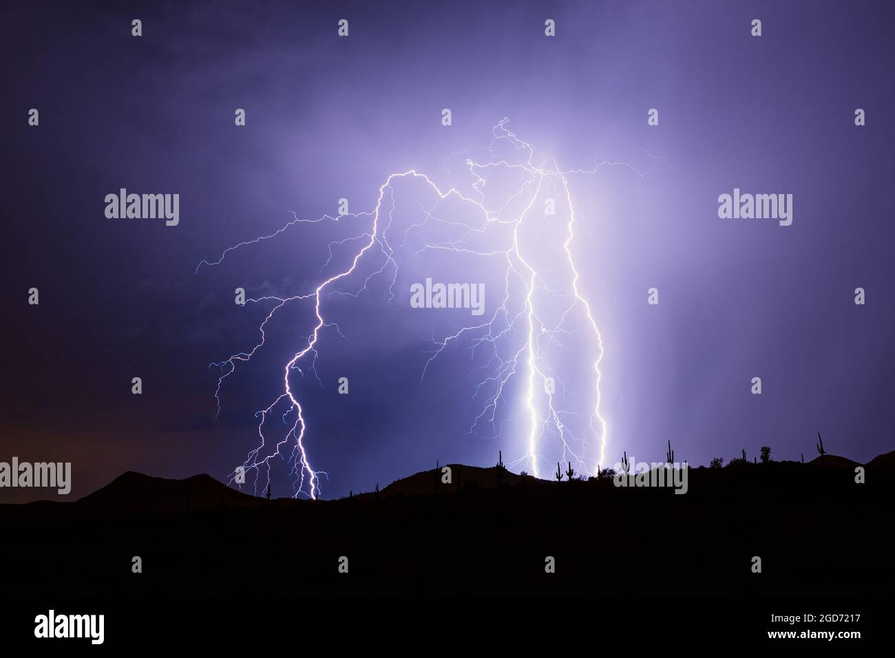 I fulmini drammatici di una tempesta monsonica rivelano le silhouette di Saguaro Cactus nel deserto di sonora vicino a Rio Verde, Arizona Foto Stock