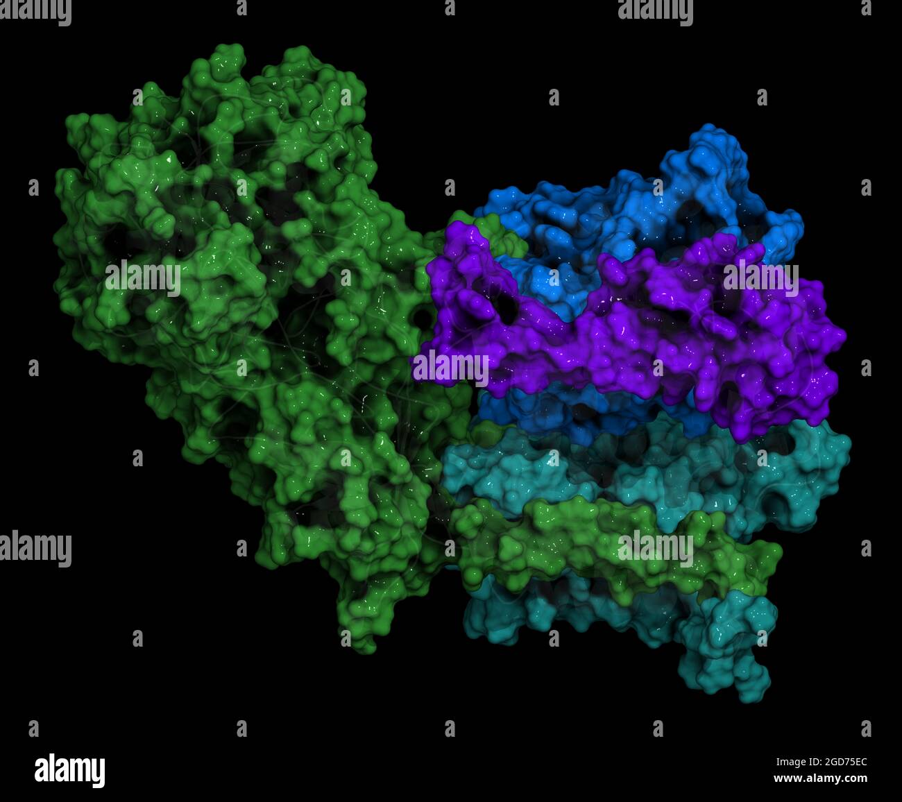 Complesso proteico gamma secretasi. Illustrazione 3D. Foto Stock