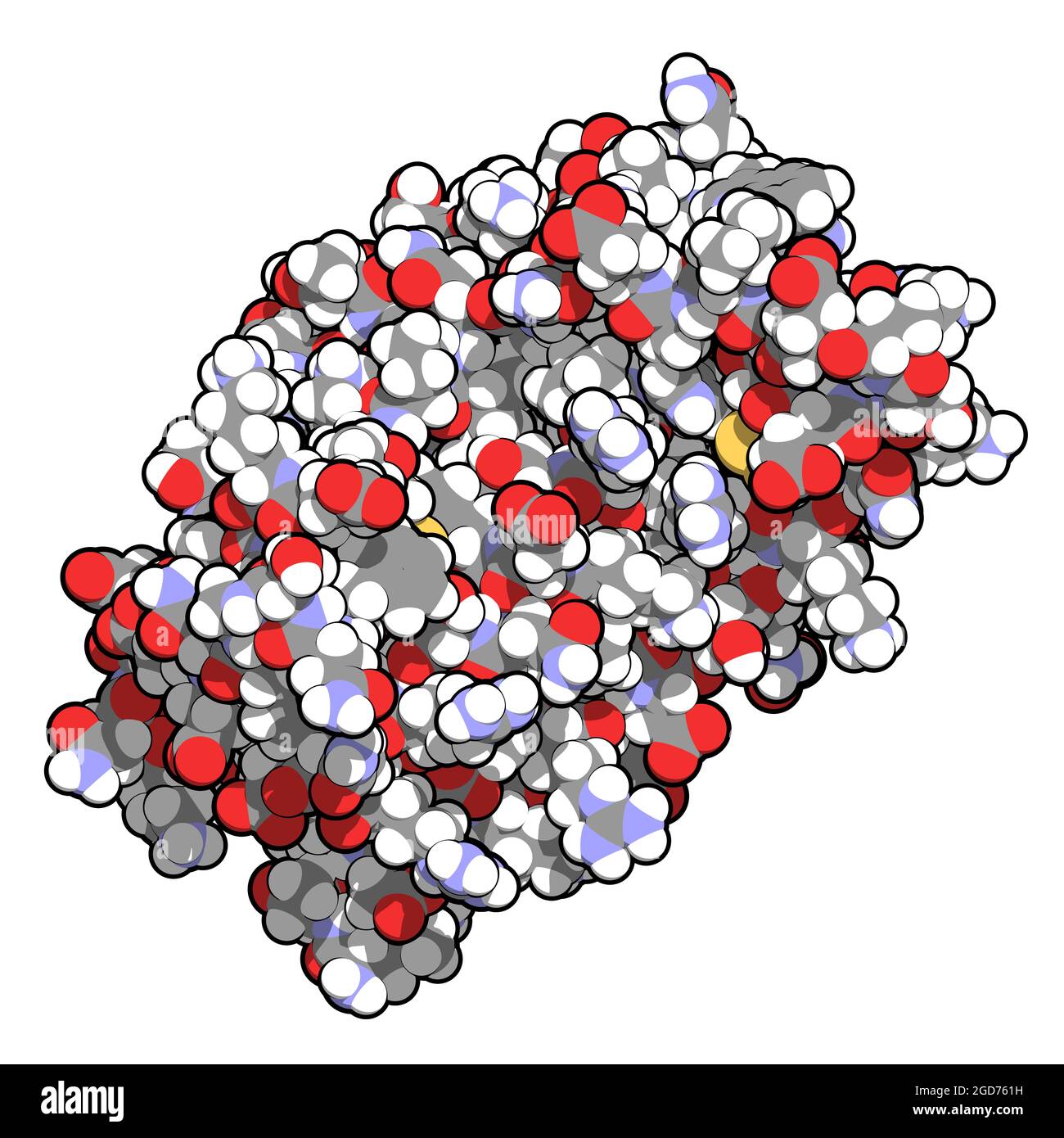 Citochina e proteina miochina dell'interleuchina 6 (il-6). Illustrazione 3D. Foto Stock